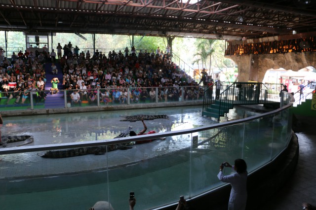 ��������԰֮��