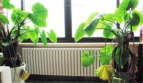 优德88·(中国区)官方网站